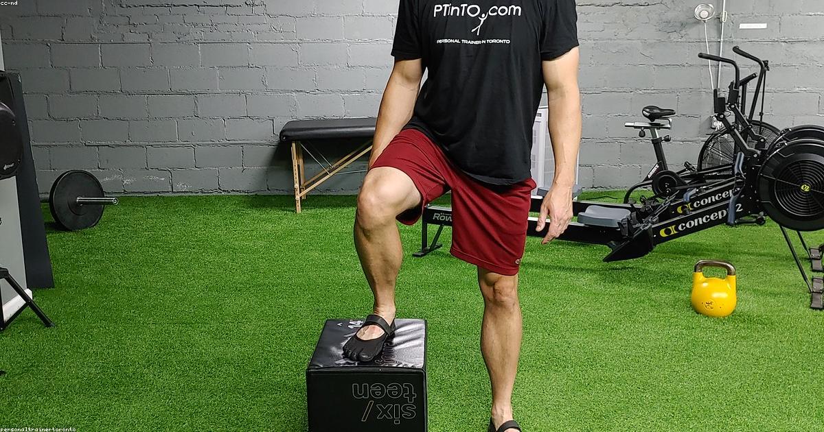 The complete beginner's guide to building muscle